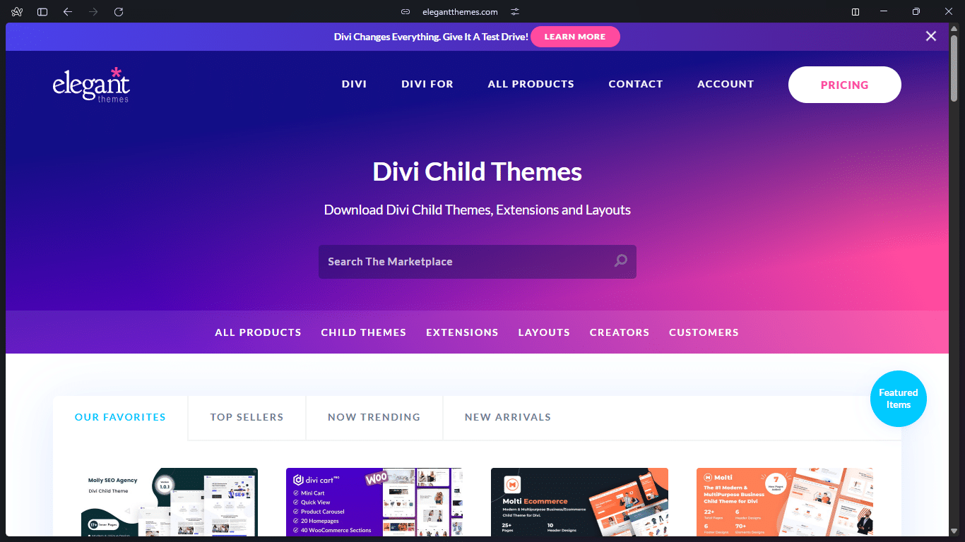 Divi Website-Vorschau