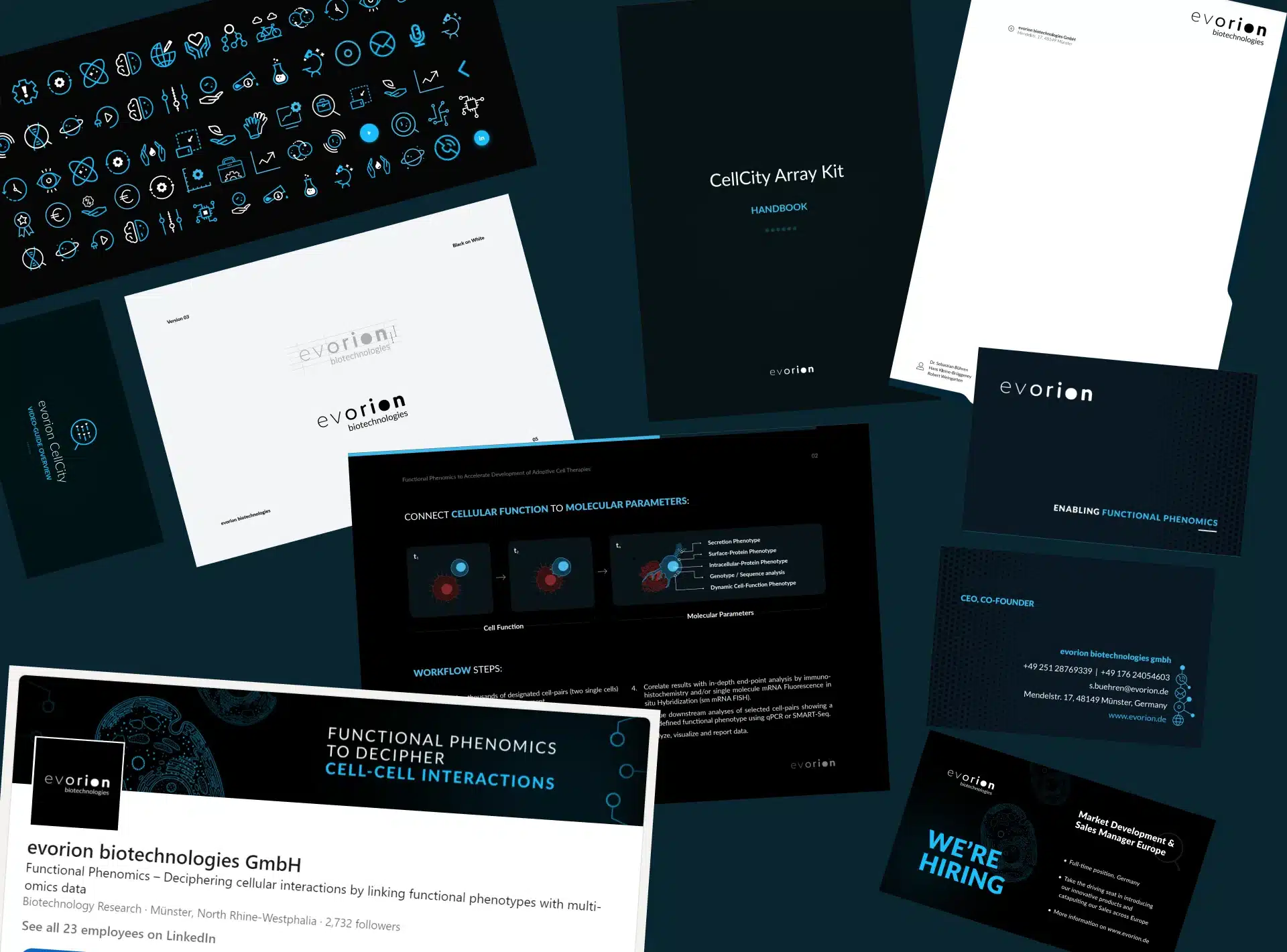 evorion brand identity